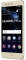 Huawei P10 Lite Dual-SIM 32GB/4GB złoty