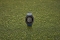 Garmin Approach S12 2022 Edition tidal blue