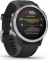 Garmin Fenix 6S czarny/srebrny