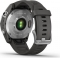 Garmin Fenix 7S silver/graphite
