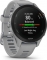 Garmin Forerunner 255S powder grey
