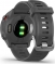Garmin Forerunner 55 monterra grey