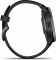 Garmin Venu 2 Plus slate/black