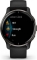 Garmin Venu 2 Plus slate/black