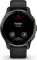 Garmin Venu 2 Plus slate/black