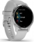 Garmin Venu 2S mist grey/silver