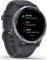 Garmin Venu granite blue/silver
