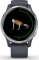 Garmin Venu granite blue/silver