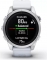 Garmin epix 2S Pro whitestone/silver