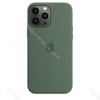 Apple Silikonowe etui z MagSafe do iPhone'a 13 Pro Max eukaliptusowe