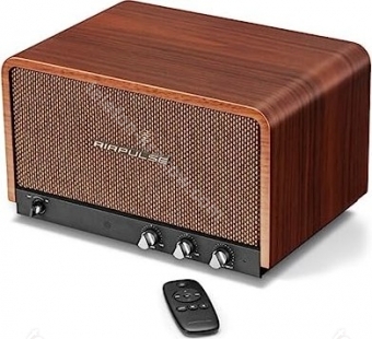 AirPulse P100X
