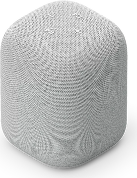 Sony LinkBuds Speaker jasnoszary