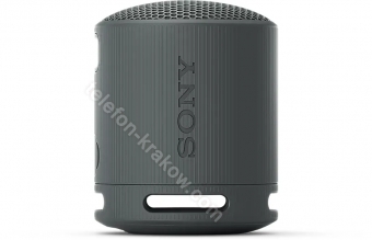 Sony SRS-XB100 czarny
