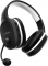 Trust Gaming GXT 391 Thian